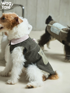 Side profile of a dog wearing a green utility dog vest in the foreground, with another dog in a matching vest softly blurred in the background, emphasizing depth and layered urban styling.
