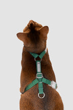 H-shape cat harness back detail in green, showing adjustable straps, central back ring, and lightweight construction designed for balanced pulling force.