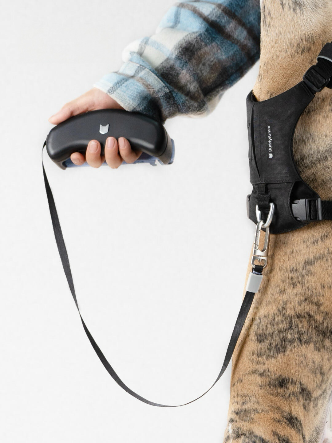 Person holding a retractable dog leash attached to a dog harness