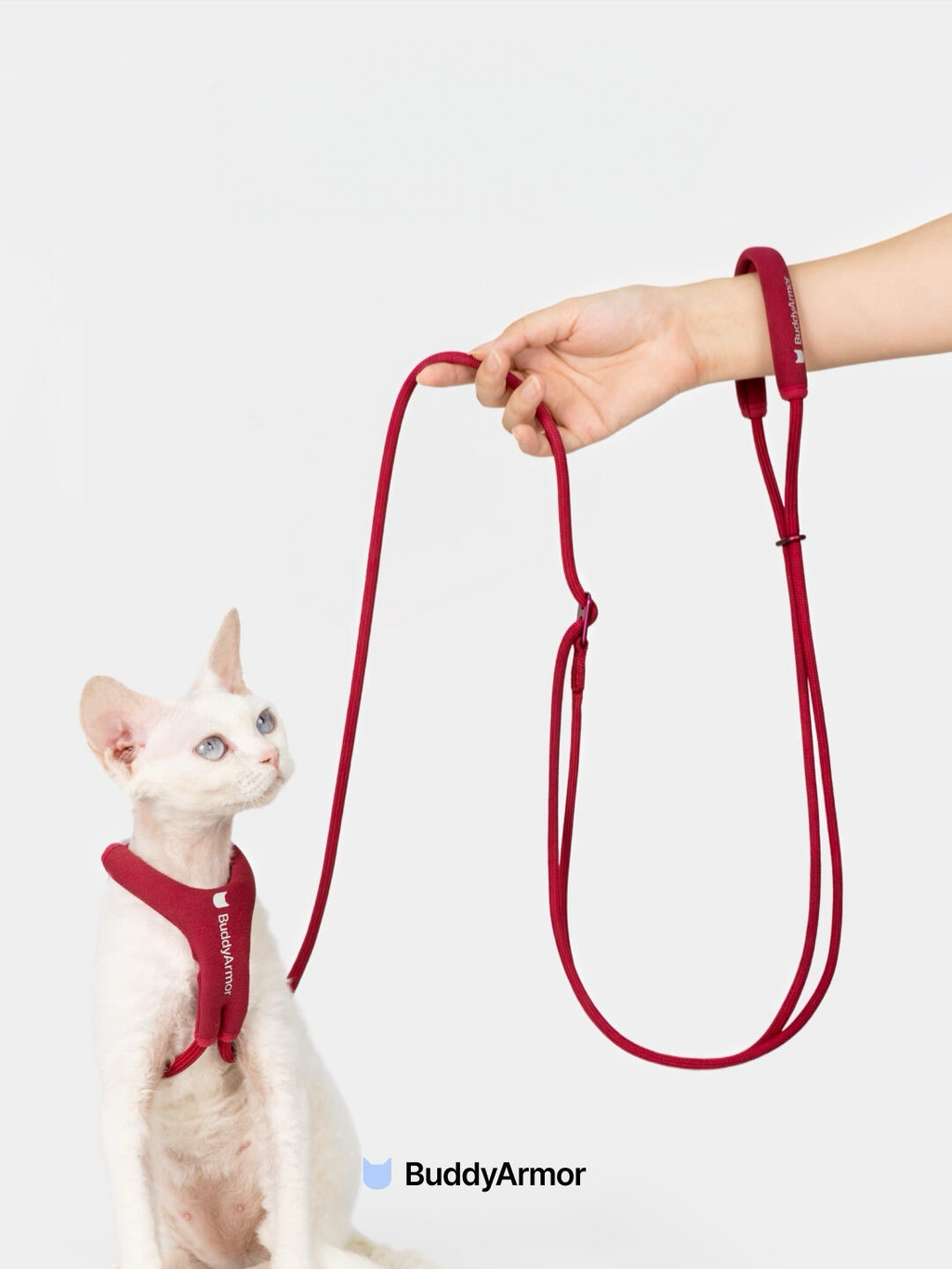 White cat wearing a red harness connected to a red hands-free cat leash, shown in hand-held use