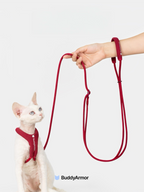 White cat wearing a red harness connected to a red hands-free cat leash, shown in hand-held use