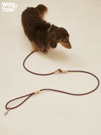 Hands-free dog leash placed loosely on the floor beside a small brown dog, showing adjustable rope length, lightweight construction, and everyday indoor use.