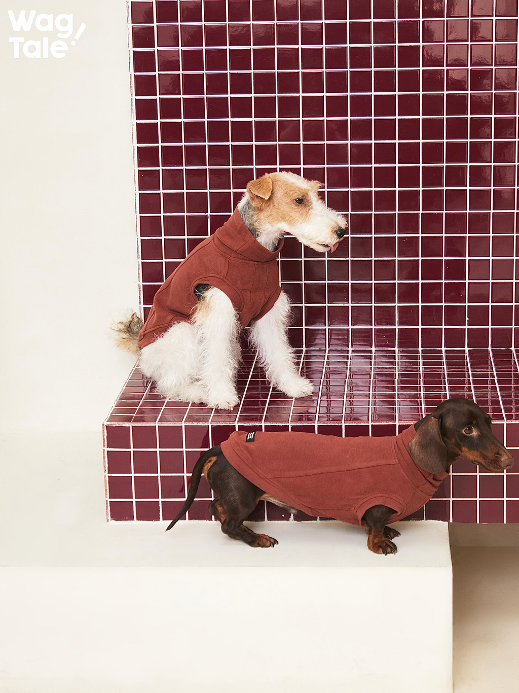 Two small dogs wearing brick red high-neck dog jumpers, displayed at different heights to show full-body coverage and balanced proportions.
