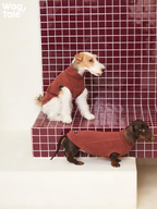 Two small dogs wearing brick red high-neck dog jumpers, displayed at different heights to show full-body coverage and balanced proportions.