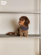 Side view of a dog wearing a high-neck dog jumper, featuring a warm collar and relaxed four-leg construction.