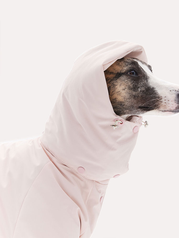 Side profile of a dog wearing a hooded down jacket with full head coverage