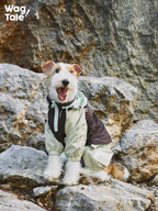A dog sitting on rocks wearing a hooded dog windbreaker with a front zip and four-leg construction, designed for wind protection during outdoor activities.