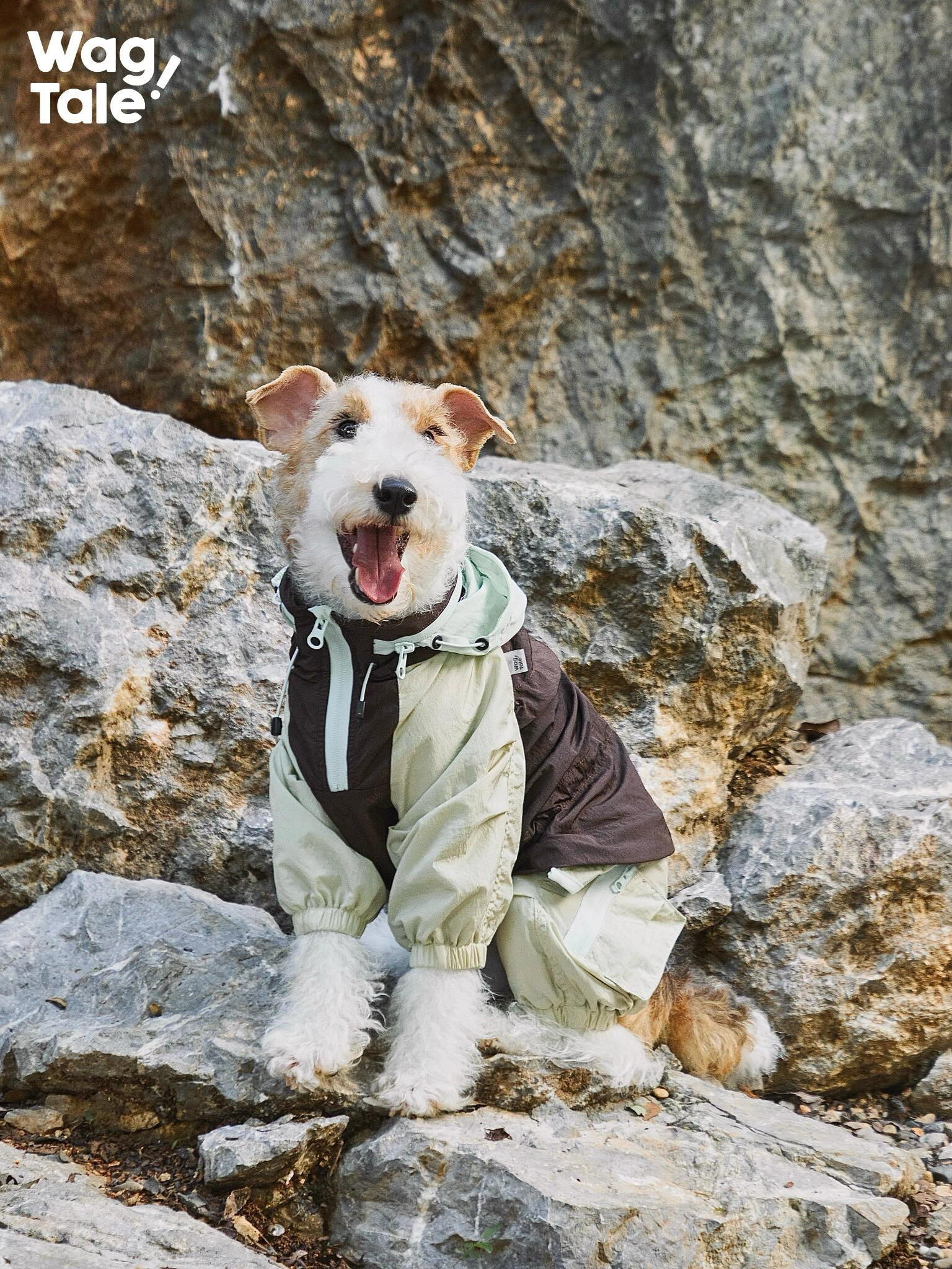 A dog sitting on rocks wearing a hooded dog windbreaker with a front zip and four-leg construction, designed for wind protection during outdoor activities.