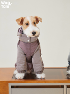 Front view of a terrier sitting upright in a purple Snowy Forest 2.0 four-leg dog suit; hooded collar and insulated panels shown for warm winter protection