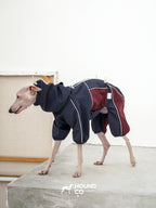 Side view of a sighthound wearing an all-weather dog onesie with full-body coverage and secure fit