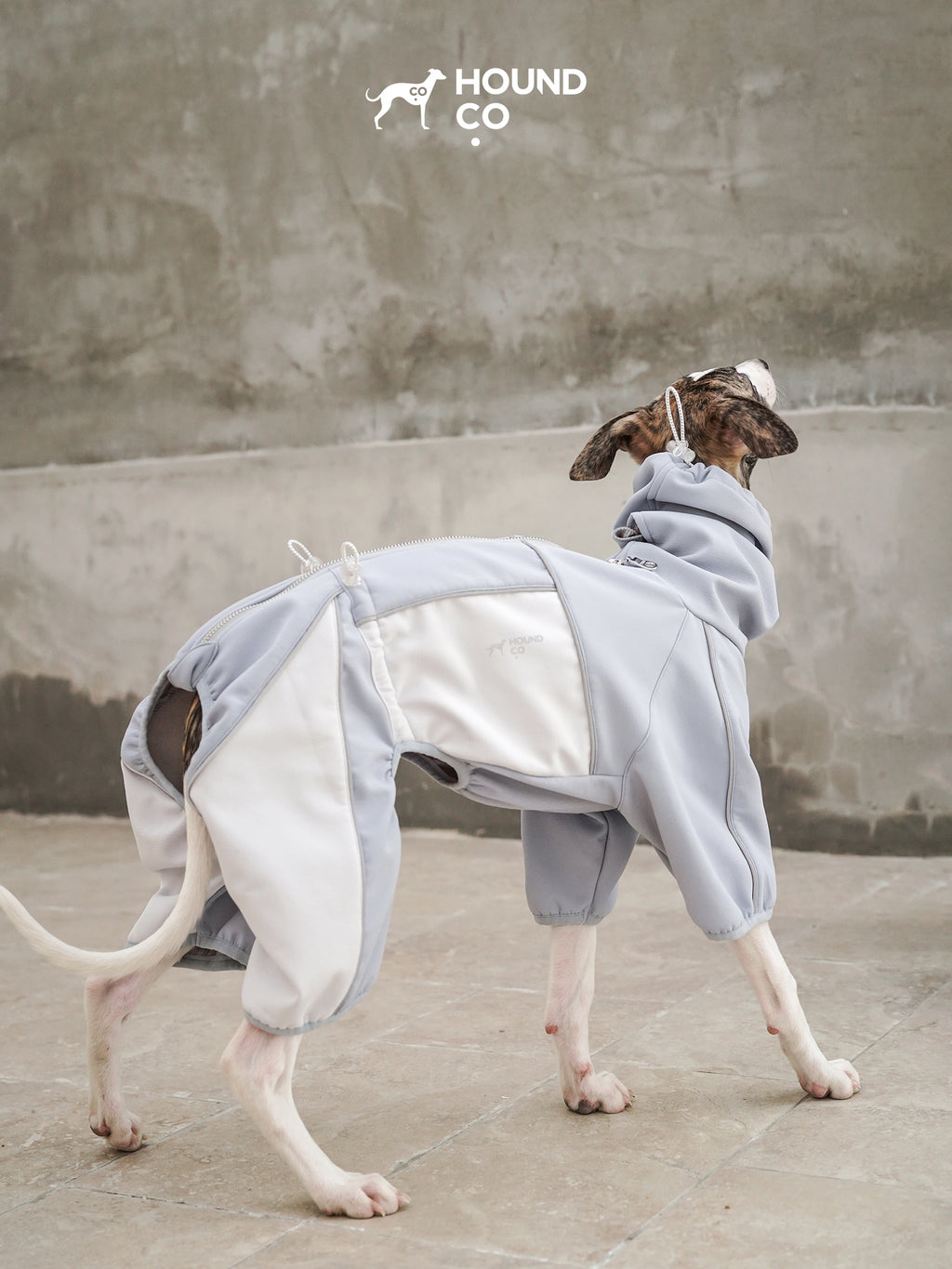Side view of a sighthound wearing an all-weather dog onesie, showing full-leg coverage and streamlined body fit