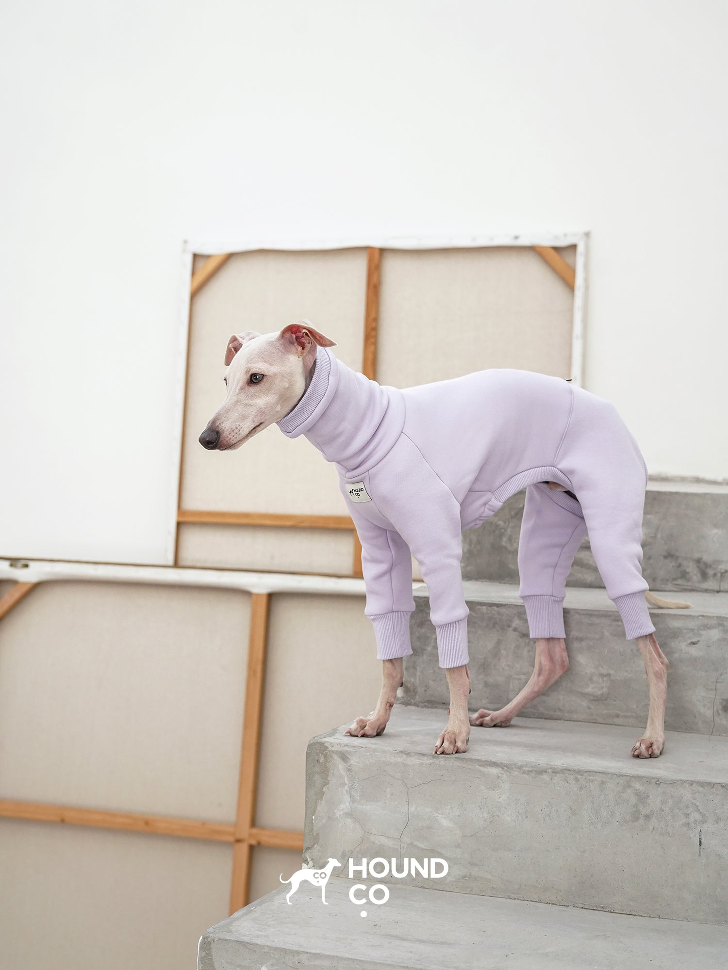 Purple sighthound dog jumpsuit featuring full-body coverage and flexible fit for active daily wear