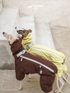 Two sighthounds wearing insulated dog suits, highlighting the back zipper design and full-body coverage