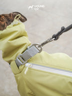 Close-up showing the built-in collar and leash attachment on a yellow dog suit worn by a sighthound