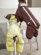 Rear view of a sighthound wearing a full-body dog suit showing elasticated leg openings and tail opening
