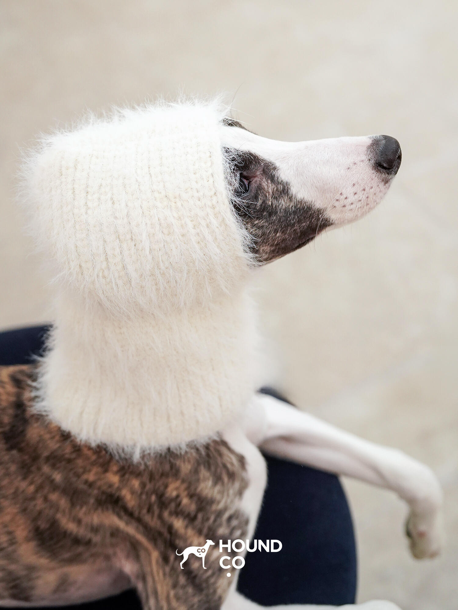 Ivory fuzzy knit snood by Hound Co., worn by a whippet, designed to keep sighthounds' heads and necks warm while adding a chic, cozy layer to winter outfits.