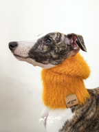 Mustard yellow fuzzy knit neck warmer by Hound Co., worn by a whippet, providing soft, stylish warmth for sighthounds' sensitive necks during winter.
