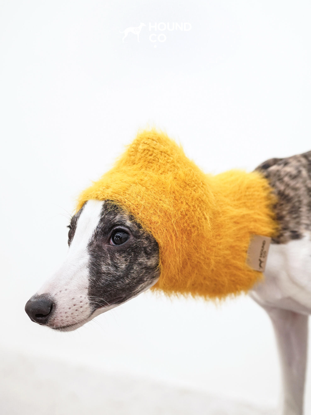 Mustard yellow fuzzy snood with ear flaps by Hound Co., worn by a whippet, providing full head and neck coverage for sighthounds in cold weather.