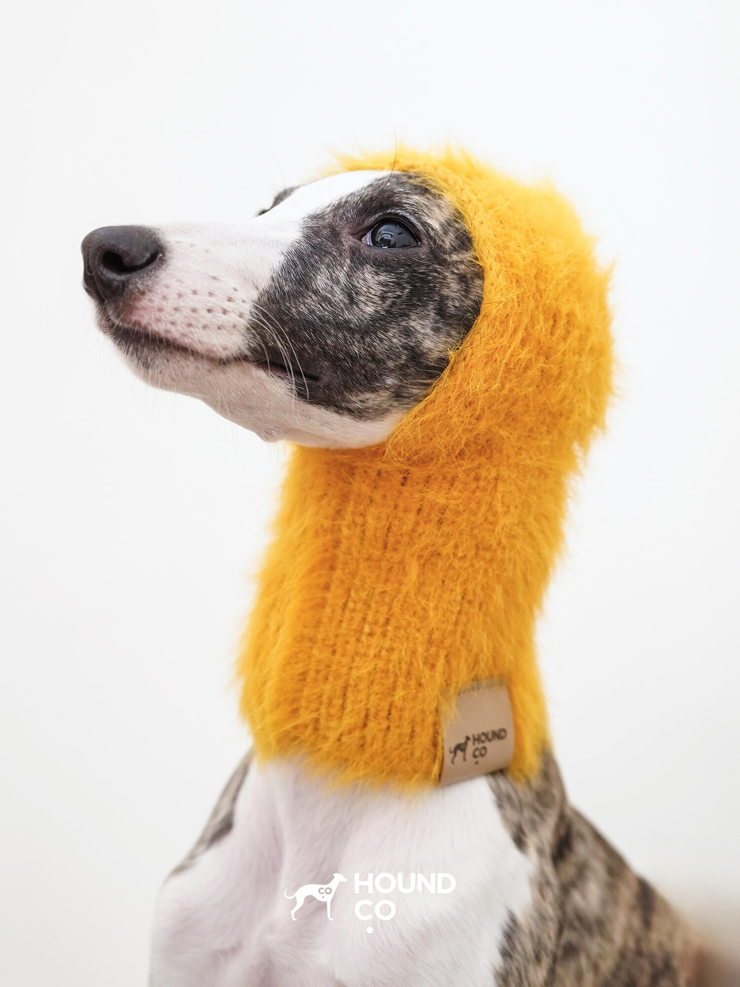 Mustard yellow fuzzy snood with ear holes from Hound Co., worn by a whippet, designed to keep sighthounds' heads and long necks warm and cozy.
