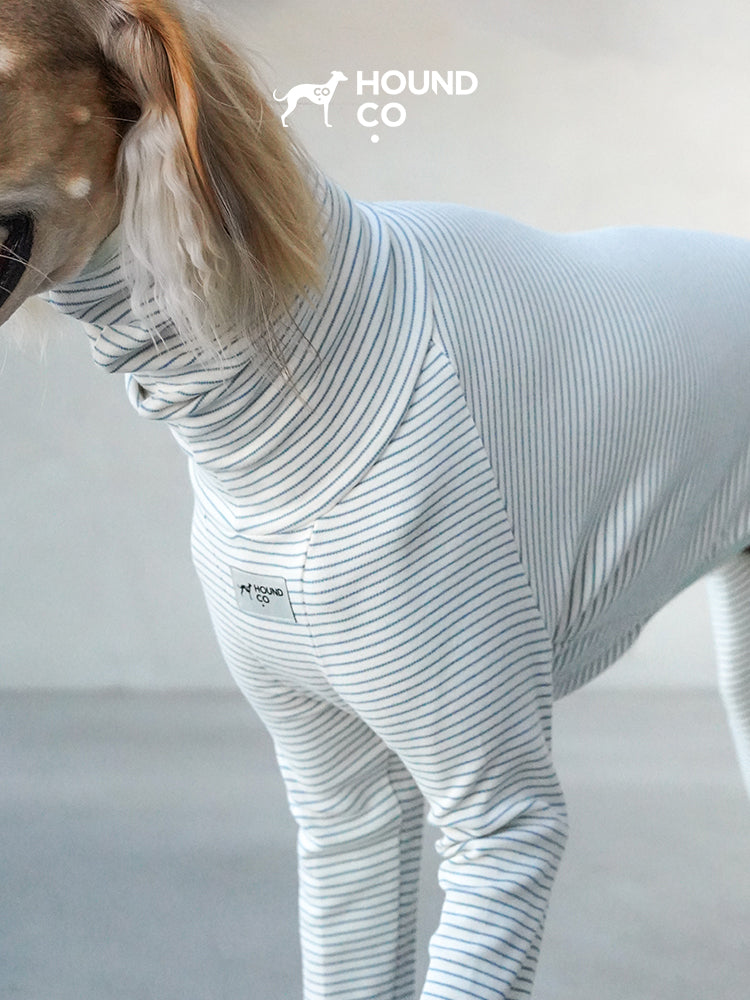 Close-up of a striped cotton dog pajama showing smooth fabric texture and ergonomic tailoring along the shoulder and body
