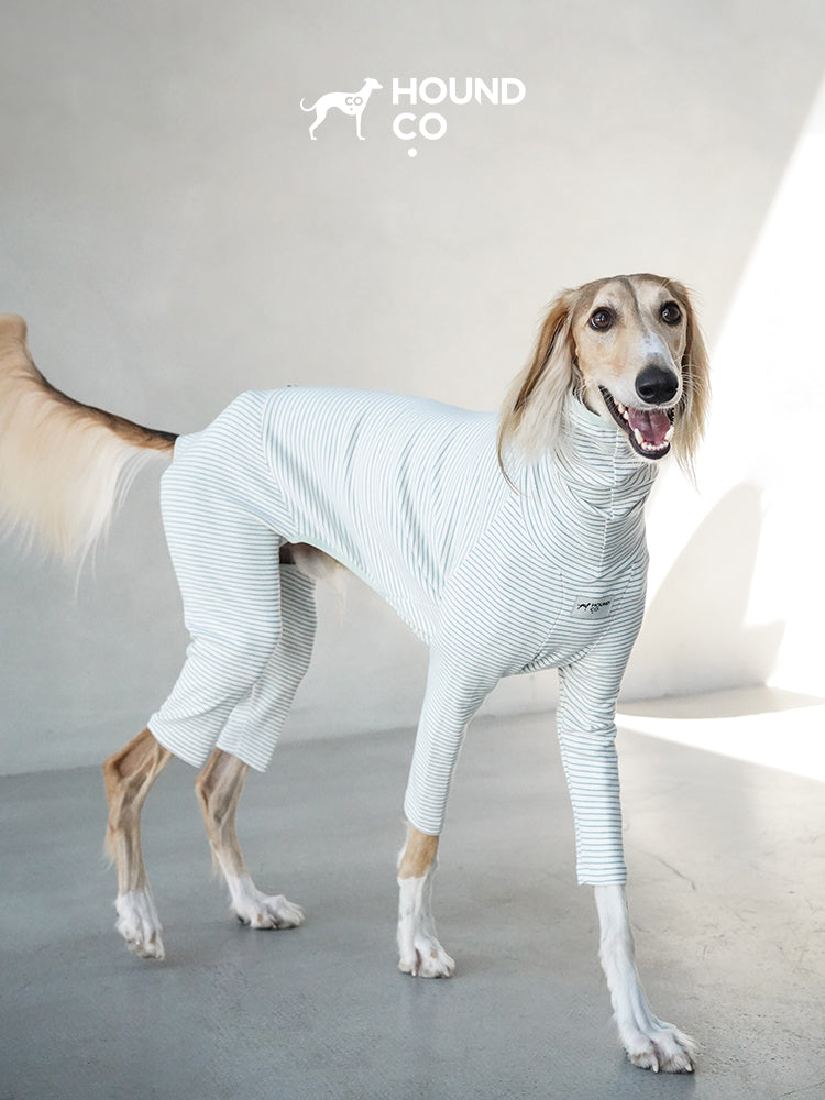 Sighthound standing comfortably in a striped cotton dog pajama with full-body coverage and a snug, body-hugging fit