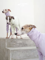 Purple sighthound dog onesie highlighting breed-specific fit, high collar design, and cold-weather protection