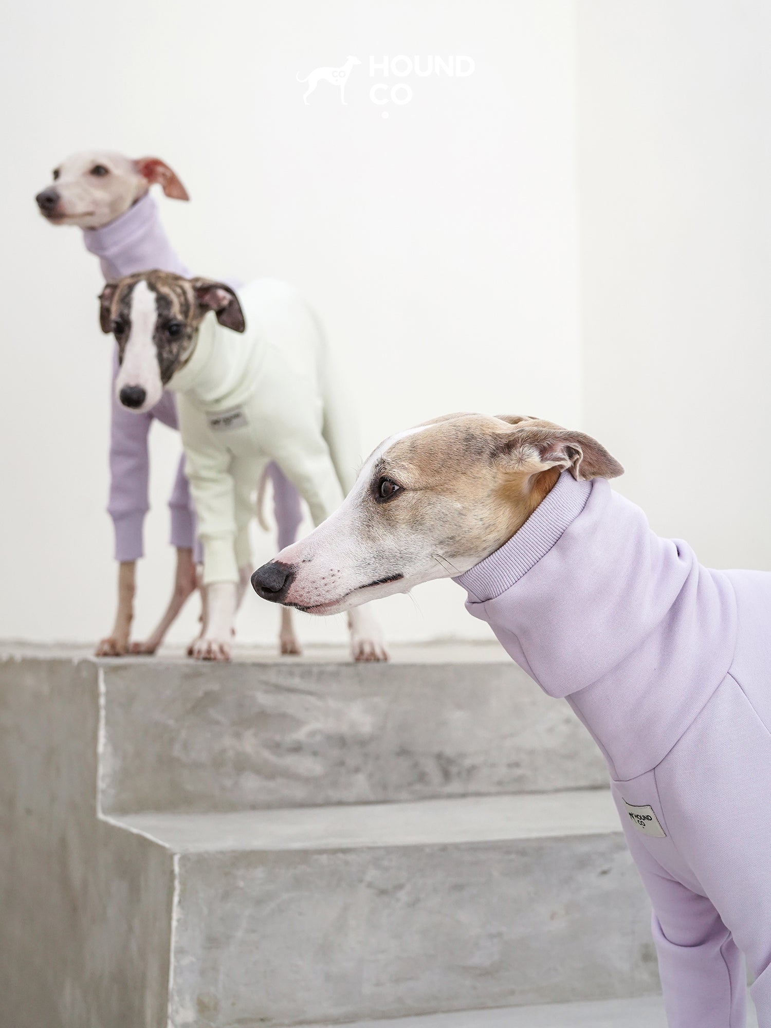 Purple sighthound dog onesie highlighting breed-specific fit, high collar design, and cold-weather protection