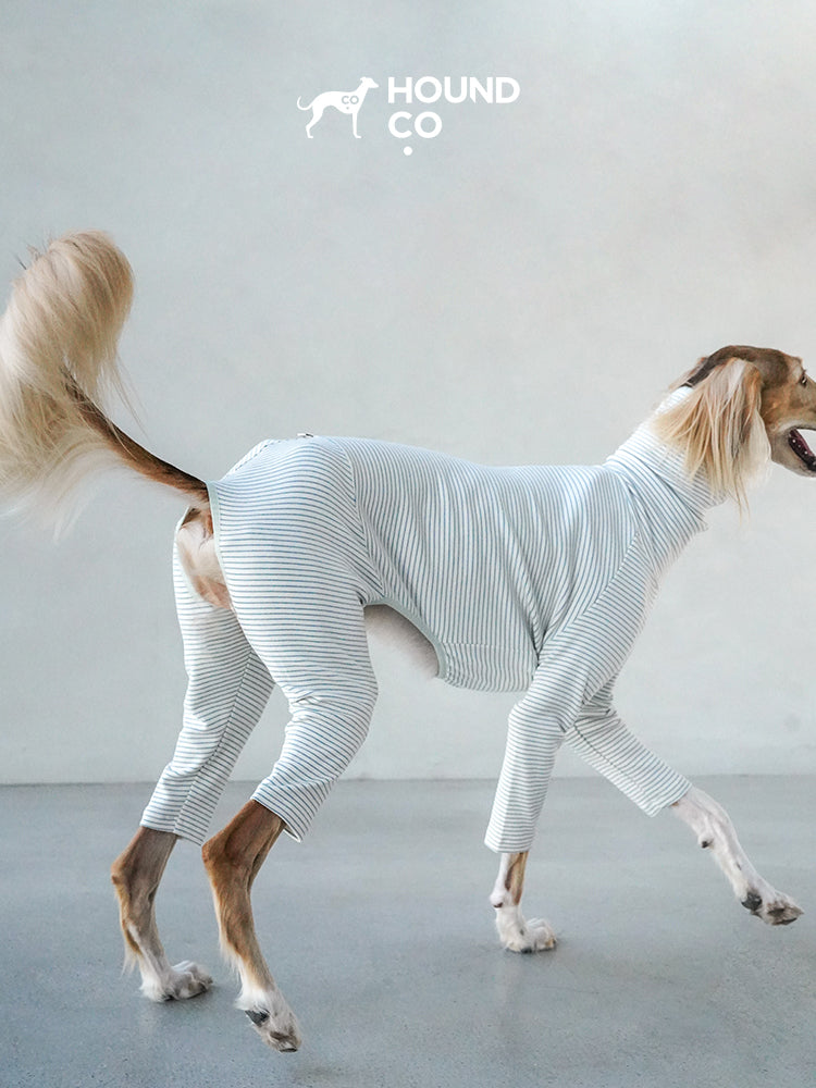 Side view of a sighthound walking while wearing a striped four-leg cotton dog pajama that allows natural movement