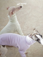 Top view of sighthound fleece dog shirts showing ergonomic cut and front-leg design while dogs stand side by side