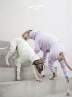 Sighthounds wearing Hound Co sighthound fleece jumpsuits during active movement, showcasing ergonomic fit and full-body coverage