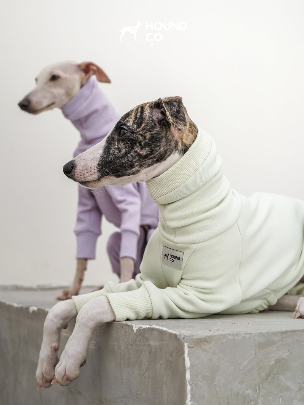 Close-up of sighthound fleece onesie showing low-pile fabric texture, ribbed cuffs, and easy-clean surface