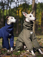 Two sighthounds wearing full-body snowsuits in blue and olive green, sitting outdoors in a forest setting.