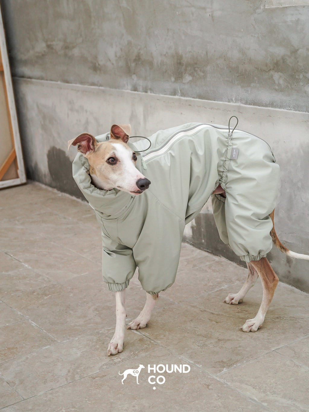Side view of a sighthound wearing a waterproof dog suit with a back zipper and adjustable fit