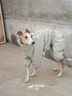 Side view of a sighthound wearing a waterproof dog suit with a back zipper and adjustable fit
