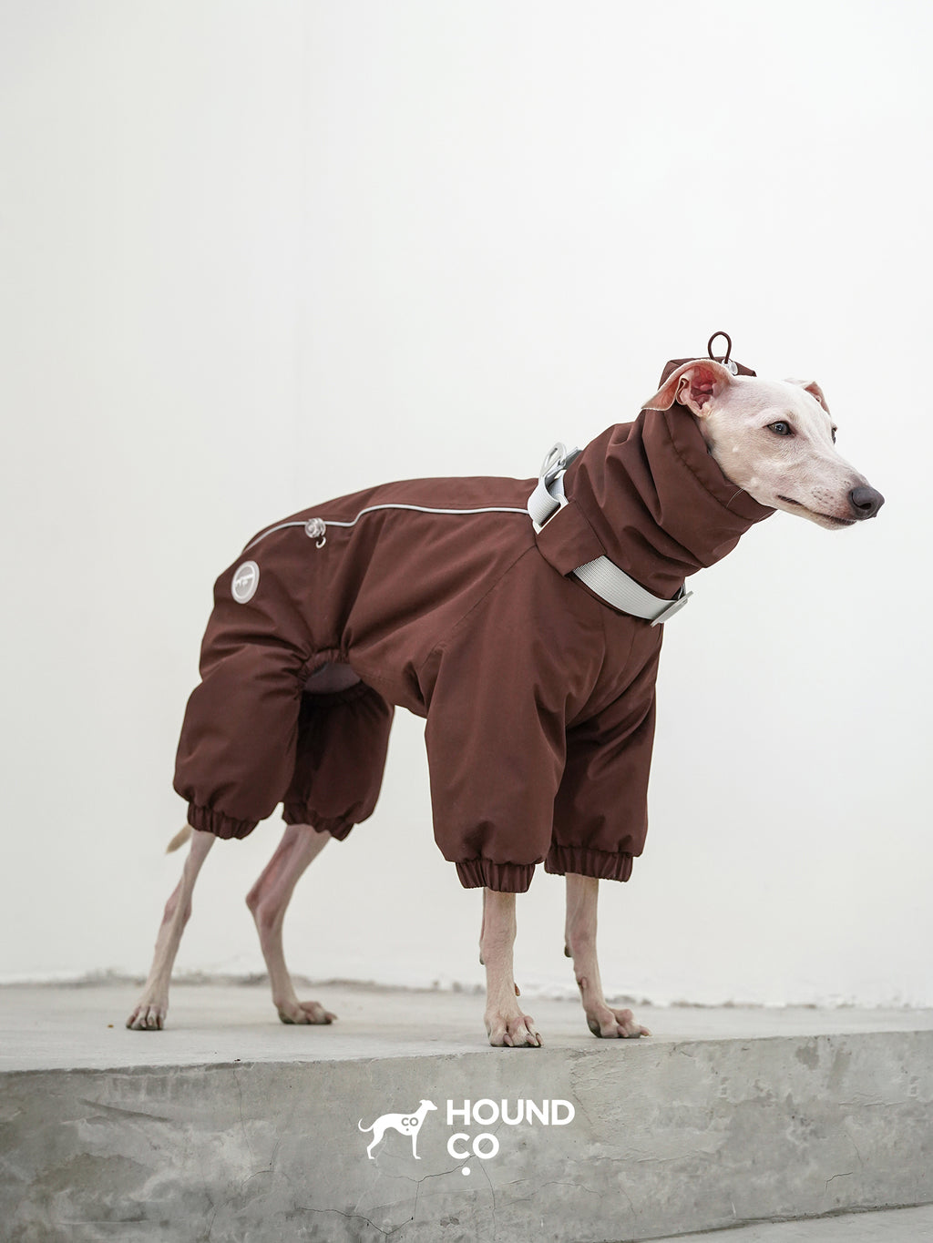 Sighthound standing on concrete steps wearing a brown insulated dog suit with full-leg coverage
