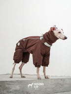 Sighthound standing on concrete steps wearing a brown insulated dog suit with full-leg coverage