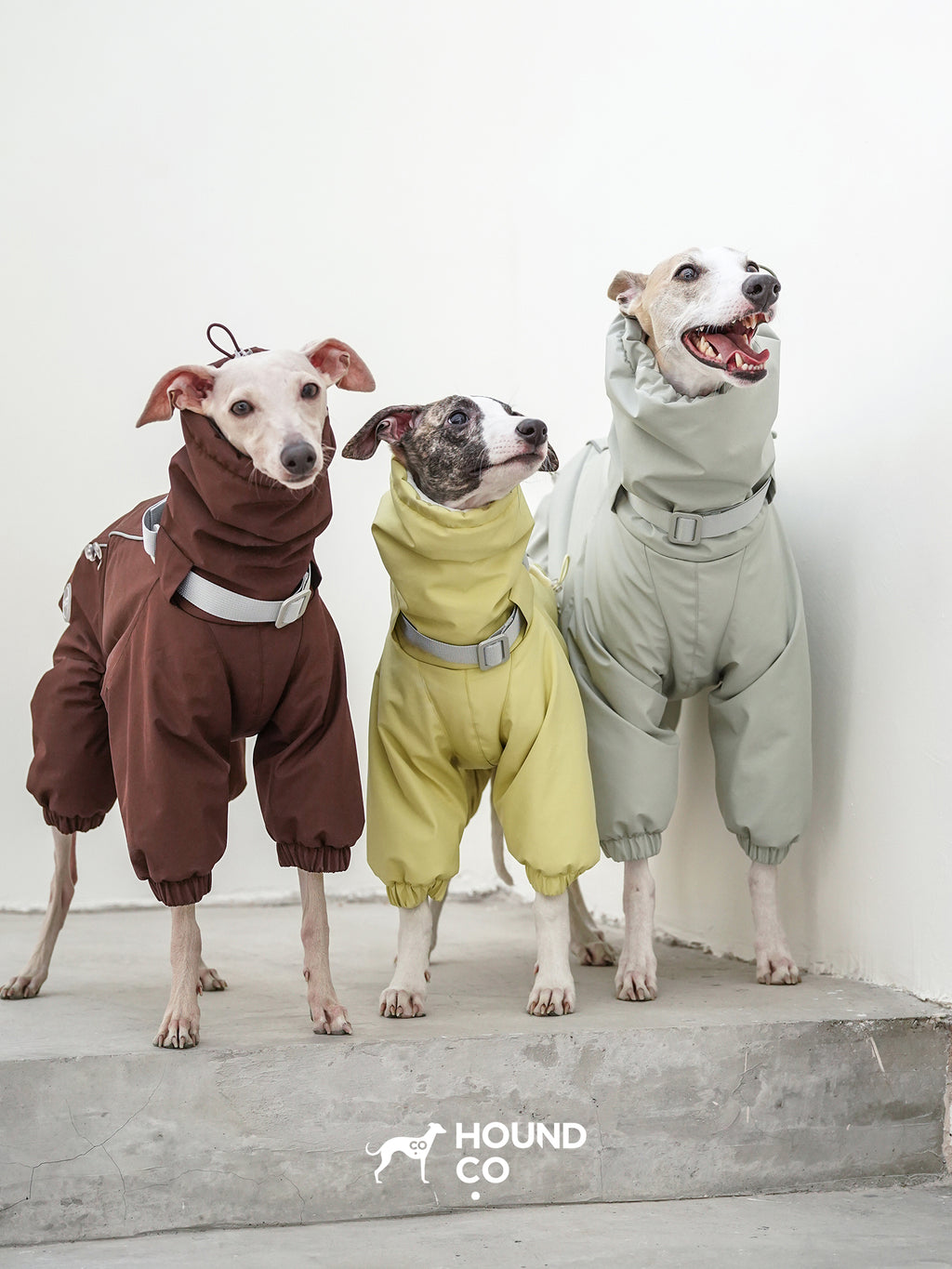 Three sighthounds standing together wearing winter dog suits in brown, yellow, and light green colors