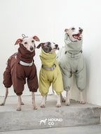 Three sighthounds standing together wearing winter dog suits in brown, yellow, and light green colors