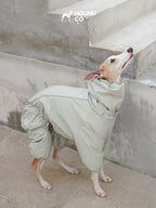 Sighthound looking up while wearing a winter dog suit with an extended collar for added neck coverage