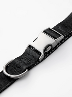 Dog Short Leash - VOF