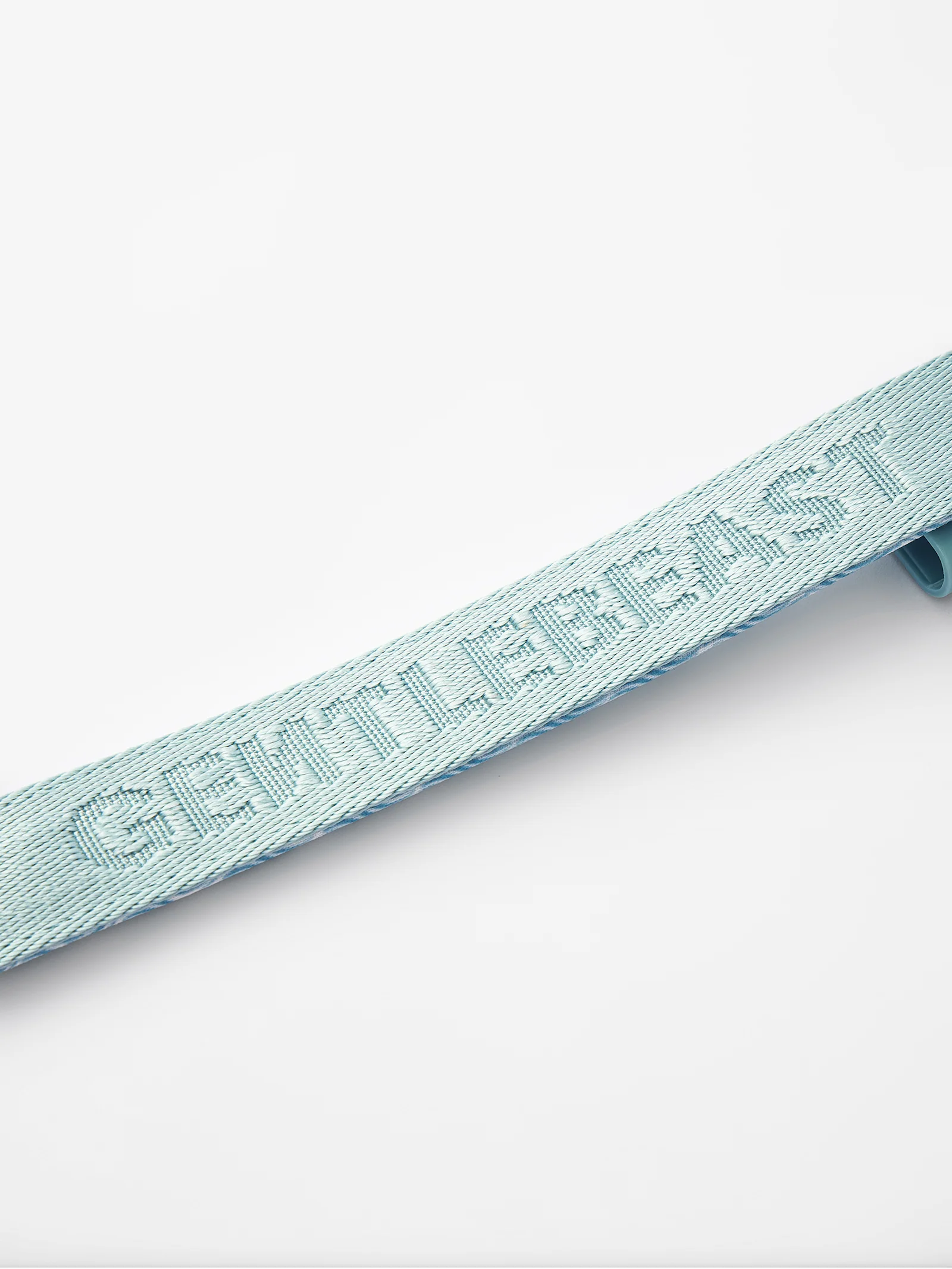 GENTLEBEAST mint blue short dog leash with sturdy handle and durable clip, ideal for walks and training.