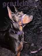 Dog Headcollar Purple - VOF