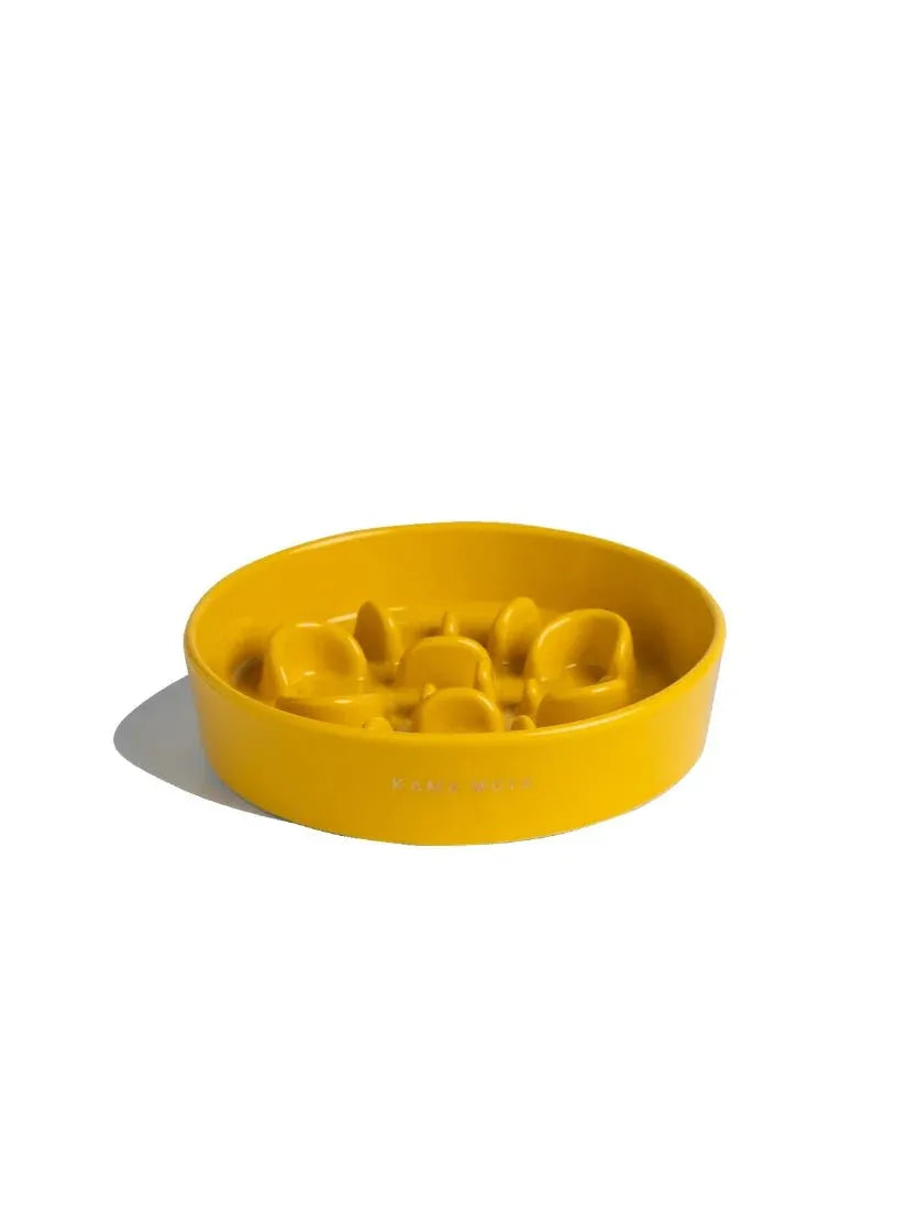 Slower Feeder Pet Bowl