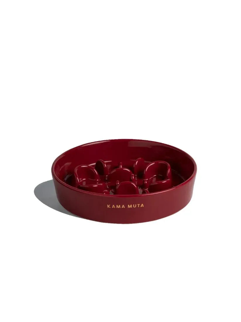 Slower Feeder Pet Bowl