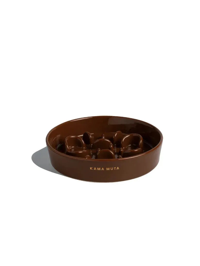 Slower Feeder Pet Bowl