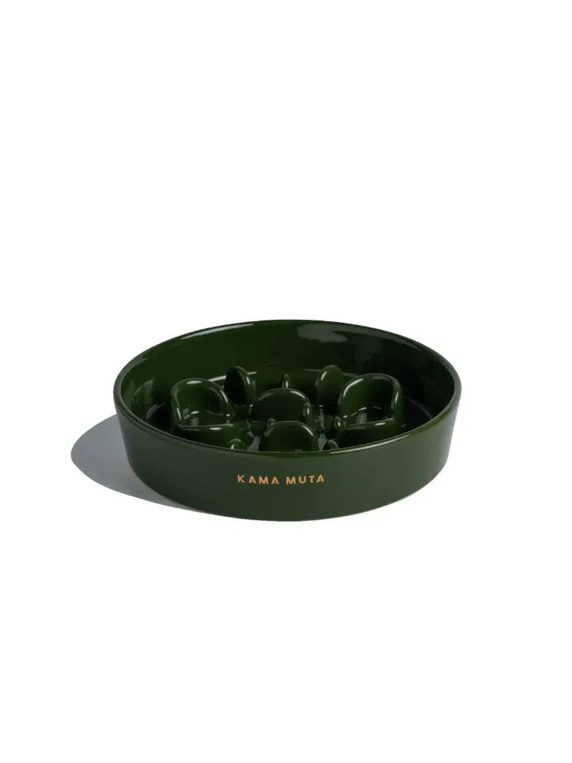 Slower Feeder Pet Bowl