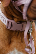 Dog Collar Pink - VOF