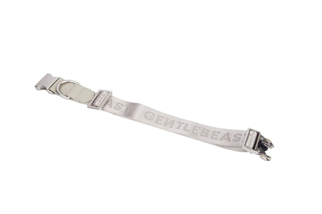 Dog Collar Silver - VOF