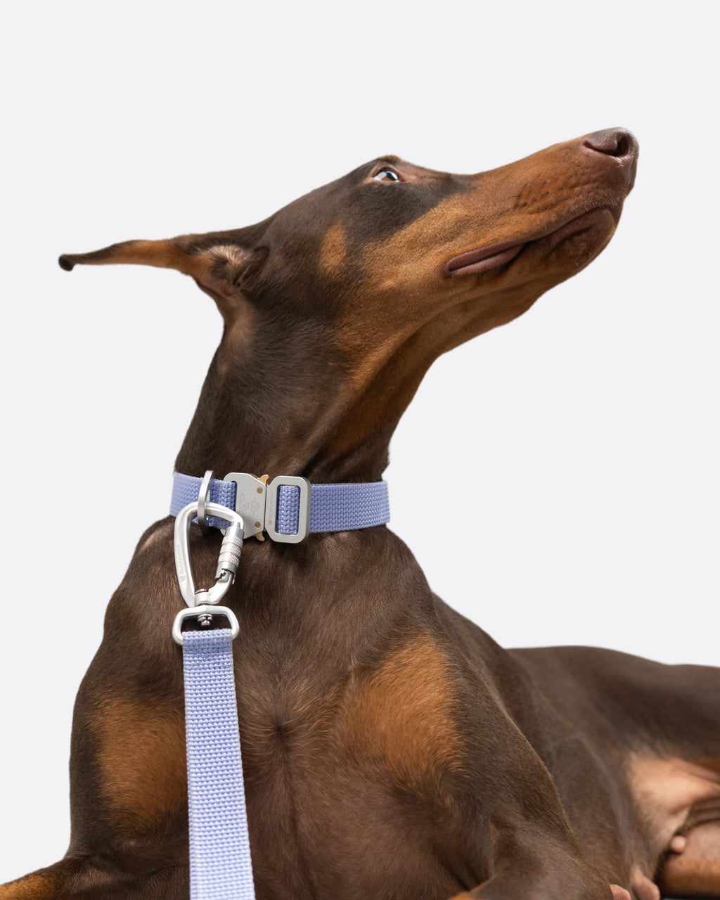 Light Alloy Dog Leash