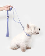 Light Alloy Dog Leash